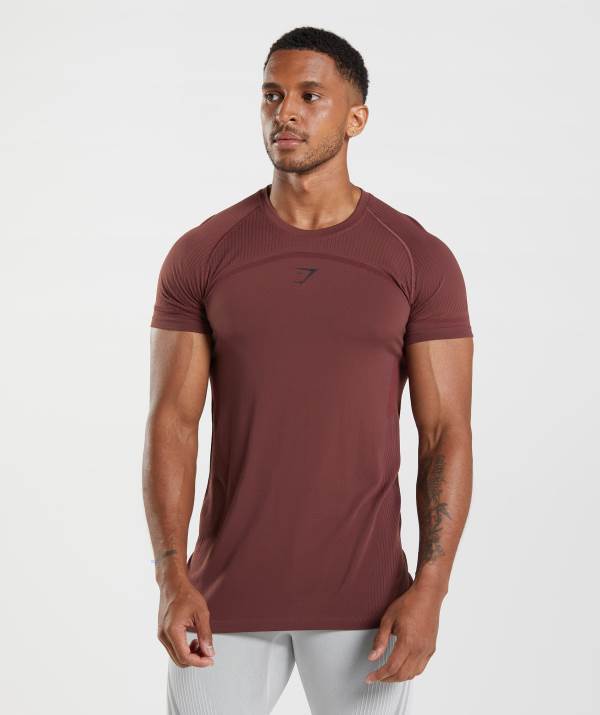 Panske Tricka Gymshark 315 Seamless Ruzove Hnede | EN1487239
